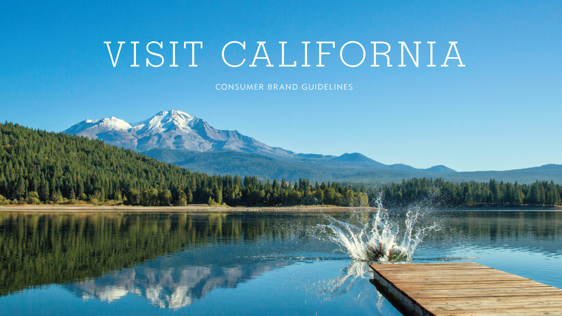 VCA Brand Guidelines